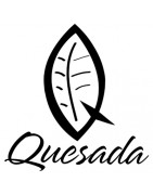 Quesada Quesada